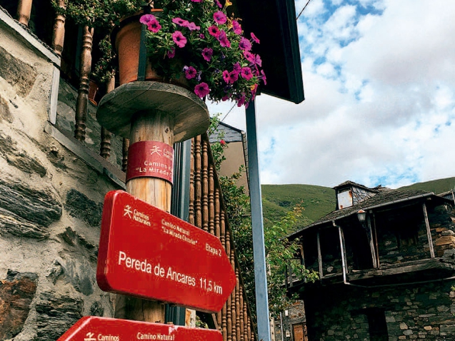 Desnivel.com - El Bierzo El Sabor de lo Auténtico