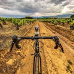 MENTHIA-vino-ecológico-de-España-Castilla-y-León-Bierzo