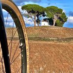 Ruta-circular-entre-viñedos